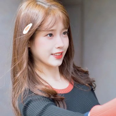 犬心犬意